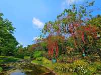 ฤดูใบไม้ผลิ สวนสมเด็จพระนางเจ้าสิริกิติ์