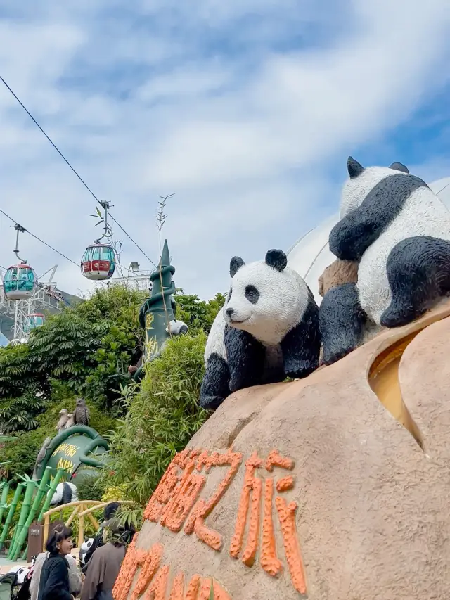 Panda Cuteness Overload: A Day at Ocean Park with Adorable Cubs!