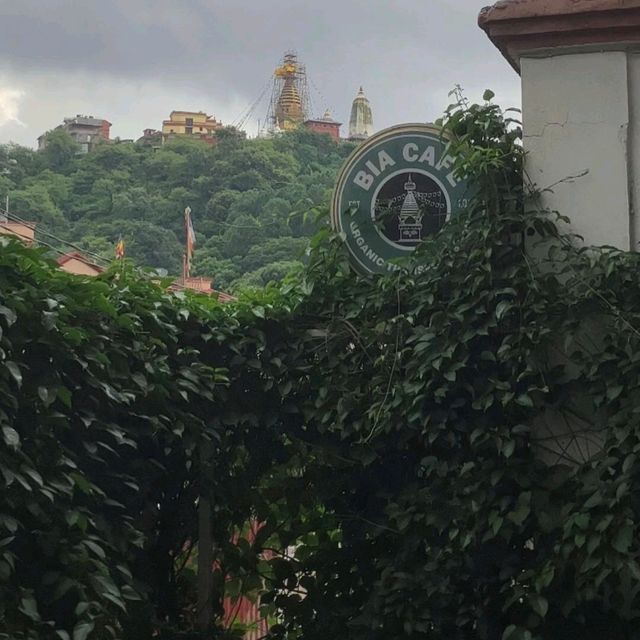 Beautiful peaceful cafe