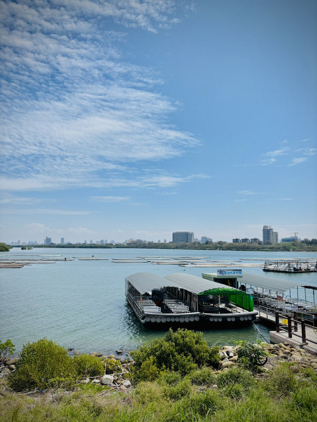 台江國家公園漫遊 🌳☁️ 水上建築的寧靜 