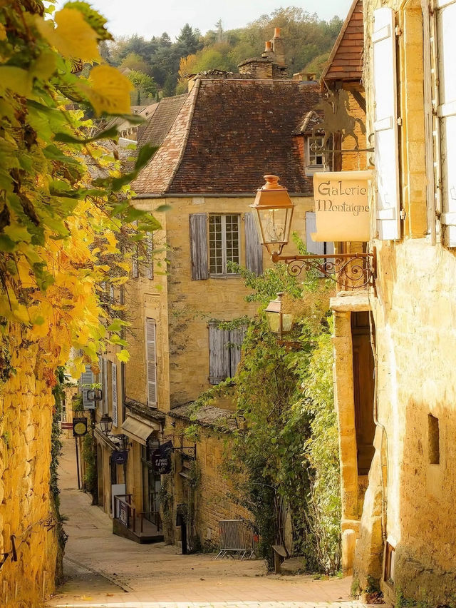 1-Day Trip to Sarlat-la-Canéda