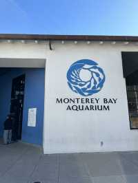 Monterey Bay Aquarium