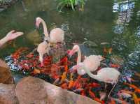 Langkawi Wildlife Park