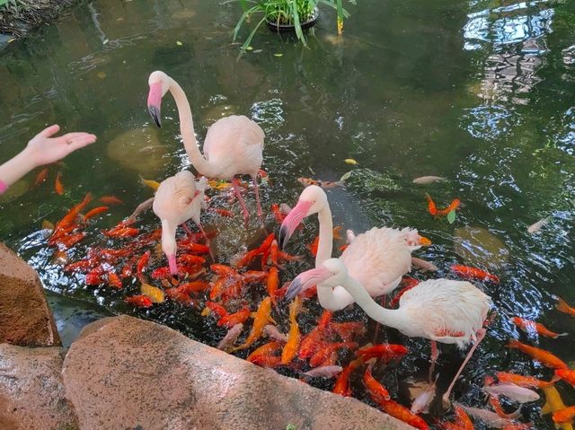 Langkawi Wildlife Park