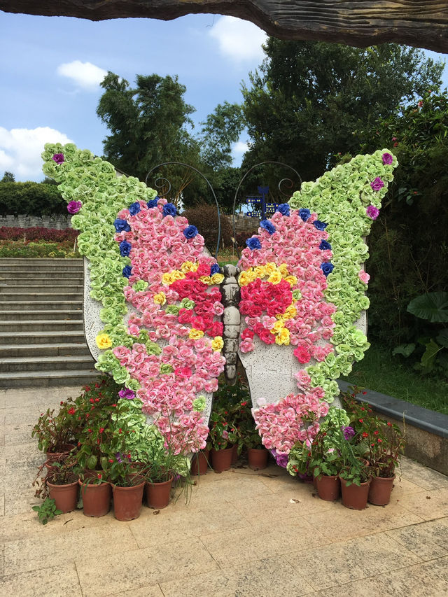 夢幻百花洲：東莞的花海之旅 🌸✨