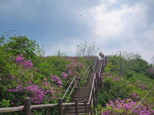 선택 하기 좋은 곳!!