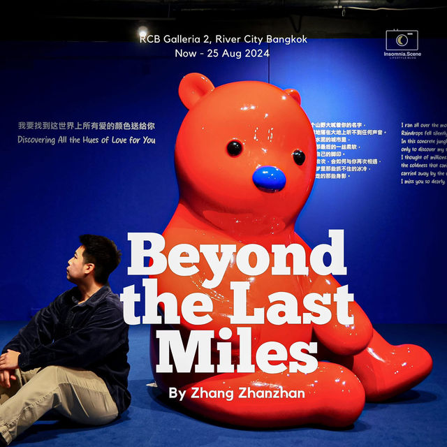 Beyond the Last Miles
