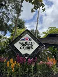 Lush Tropical Paradise - Singapore Botanic Gardens
