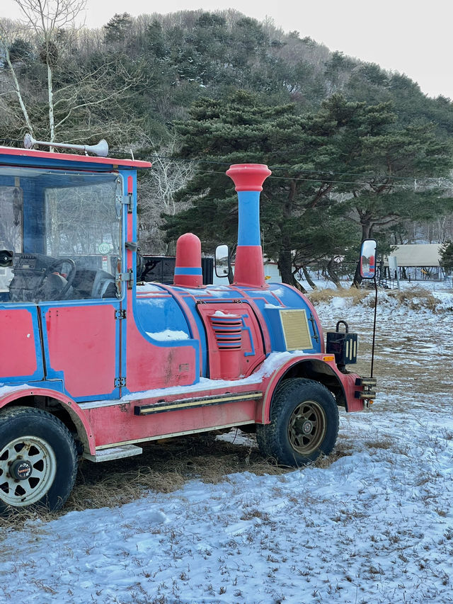 부산 근교 눈을 왕창 볼 수 있는 곳