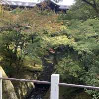秋に紅葉を見に訪れて欲しい絶景スポット『東福寺』
