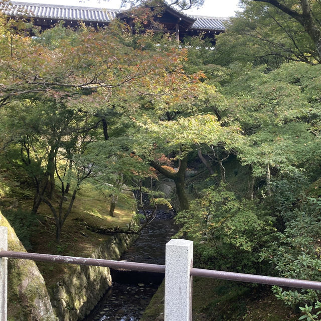 秋に紅葉を見に訪れて欲しい絶景スポット『東福寺』
