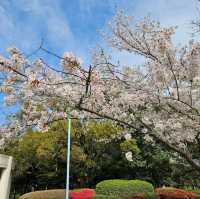 Kasuga Park (春日公園)