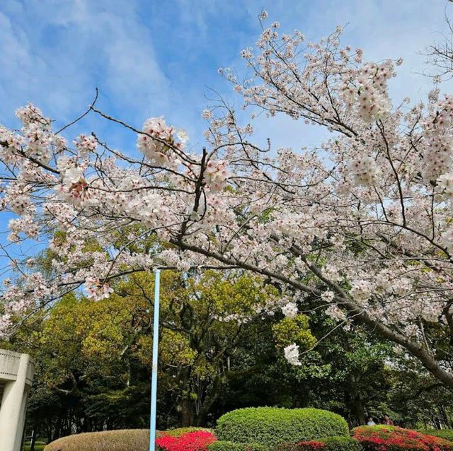 Kasuga Park (春日公園)