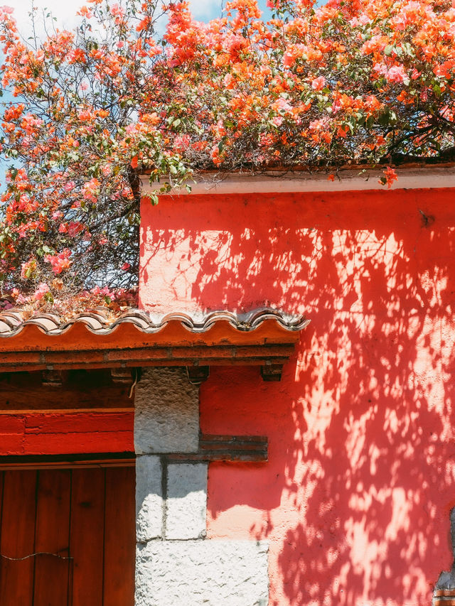 メキシコの治安って大丈夫？🇲🇽