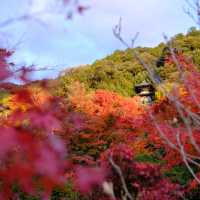 Kyoto - Eikando đừng nên bỏ qua
