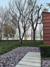 Lujiazui Central Greenland แห่งเมืองเซี่ยงไฮ้