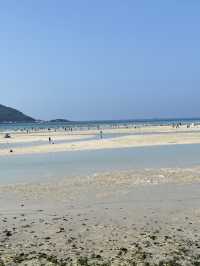 이국적인 제주바다 명소🌴 협재해수욕장 🌊