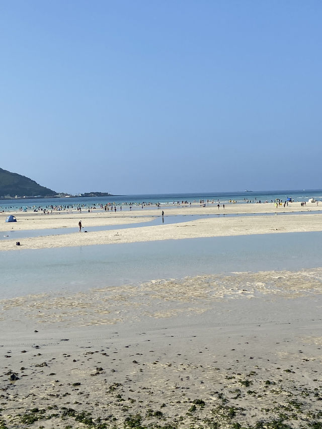 이국적인 제주바다 명소🌴 협재해수욕장 🌊