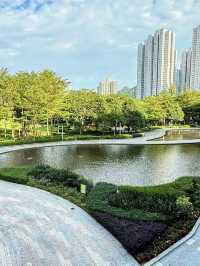 🌸 **香港單車館公園櫻花分享** 🌸