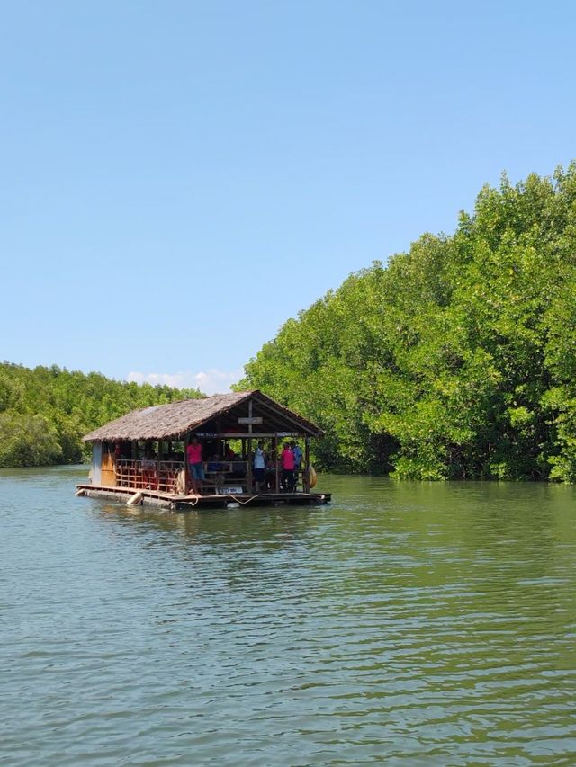 1 Day Trip เที่ยวเขาจมป่า บ้านน้ำราบ จังหวัดตรัง