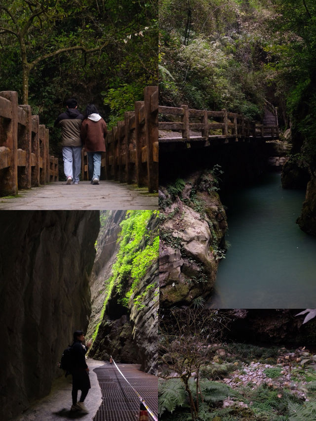 Wulong’s Heaven Pit & Earth Crack: A Natural Marvel Carved by Time