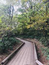 สะพานแขวน Kurenai ชมวิวธรรมชาติสุดชิล