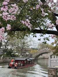 A Serendipitous Sakura Stroll: West Garden Temple’s Floral Paradise by the Canal