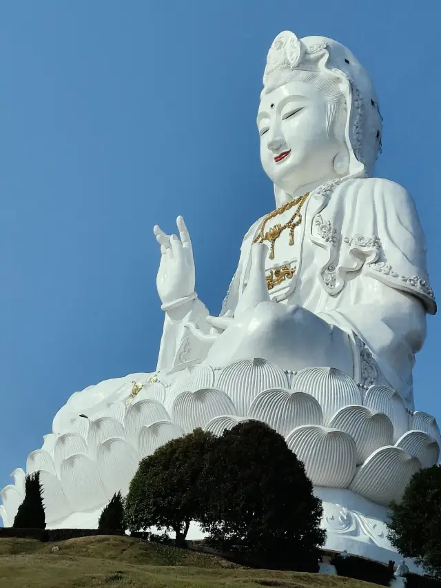 🪷วัดห้วยปลาก้้ง มูแล้วปังมาก!!!!!✨💵🙏🏻 