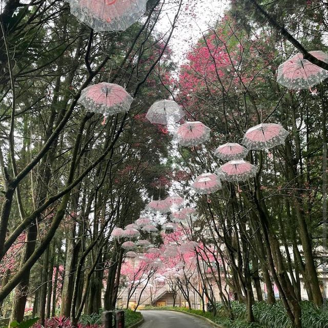 九族文化村