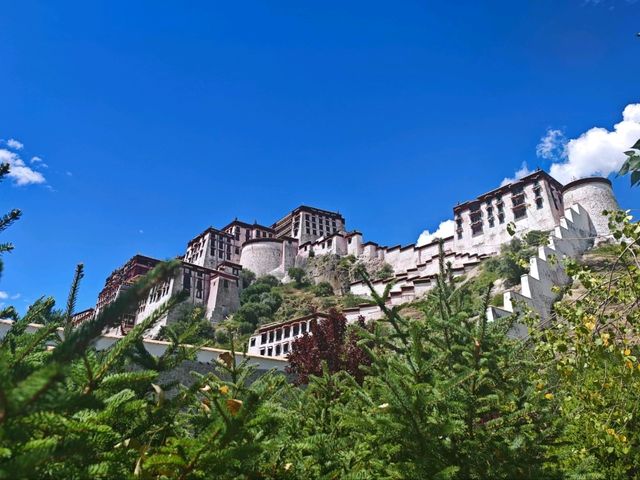 Exploring the Majestic Potala Temple in Lhasa, Tibet