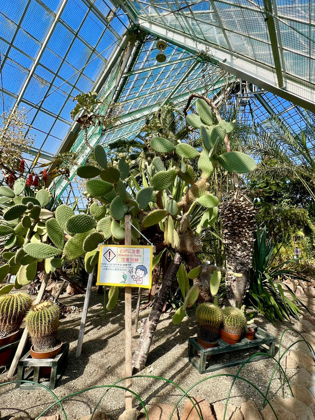 Spring Vibes in Hakodate: A Relaxing Visit to Hakodate Tropical Botanical Garden