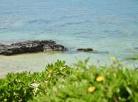 Spring Trip to Okinawa: Miyuki Beach