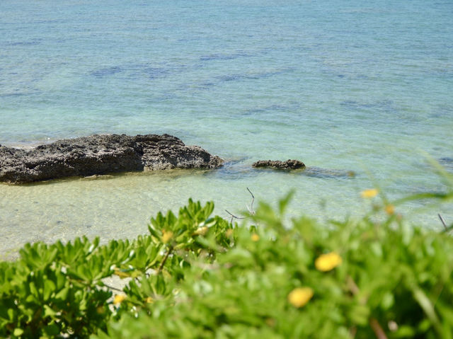 Spring Trip to Okinawa: Miyuki Beach