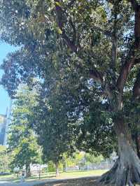 【Super Short Stroll TOUR in Melbourne Day1 】