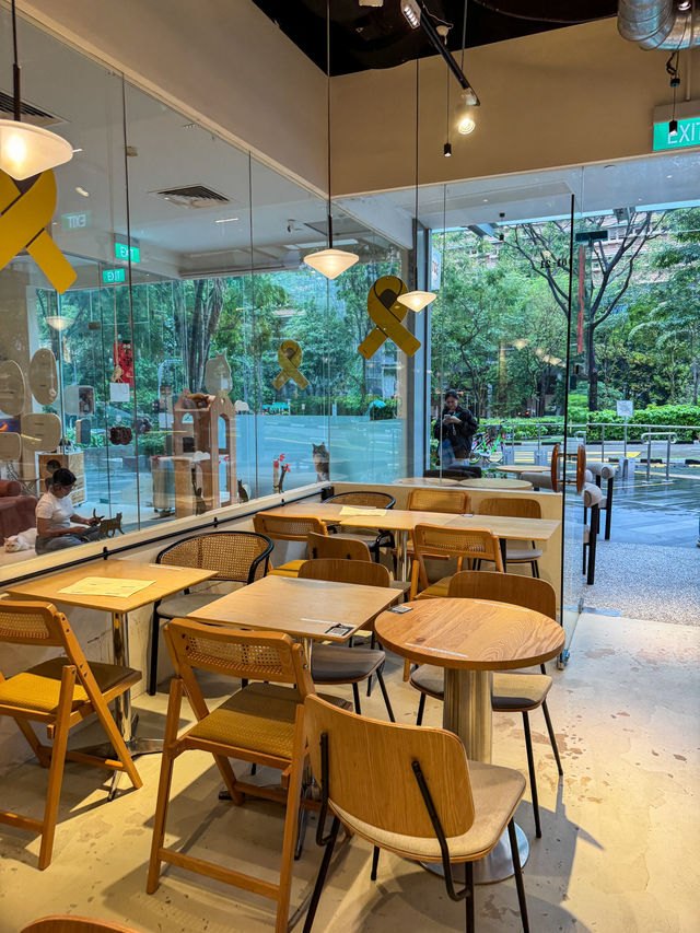The Caffeine Experience at Star Vista: Great Coffee, Even Better Deals