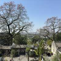 Guangdong Uncovered: Shenzhen’s Buzz, Guangzhou’s Soul & Chaozhou’s Charm