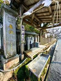 二千年多年歷史的阿蘇神社回來了