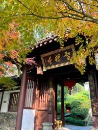 Dongshan Park: A Serene City Escape