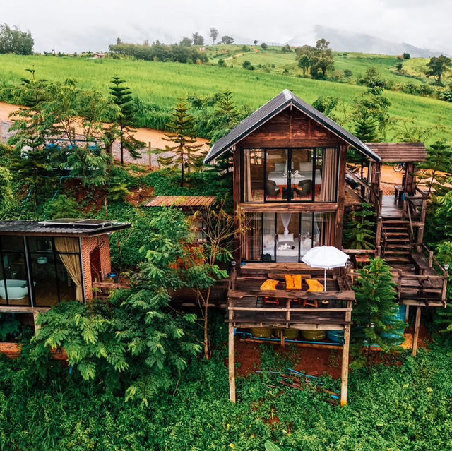 กระท่อมลุงเดวิด - Uncle David’s Cabin