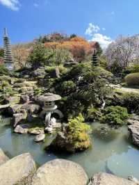 【福島×春旅】開花シーズン中はマイカー規制 シャトルバスで・・