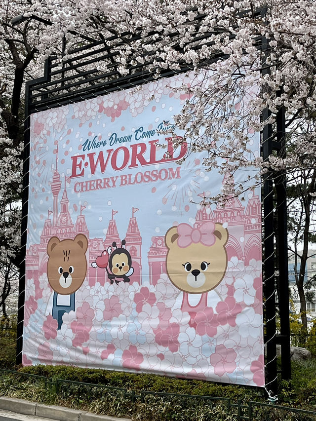 遊園地でお花見🌸⁉️ 大邱 Eワールドの魅力✨💗 遊園地でお花見🌸⁉️ 大邱 Eワールドの魅力✨💗