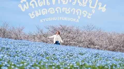Tọa độ ngắm hoa anh đào "Fukuoka" — traveler post in Beppu