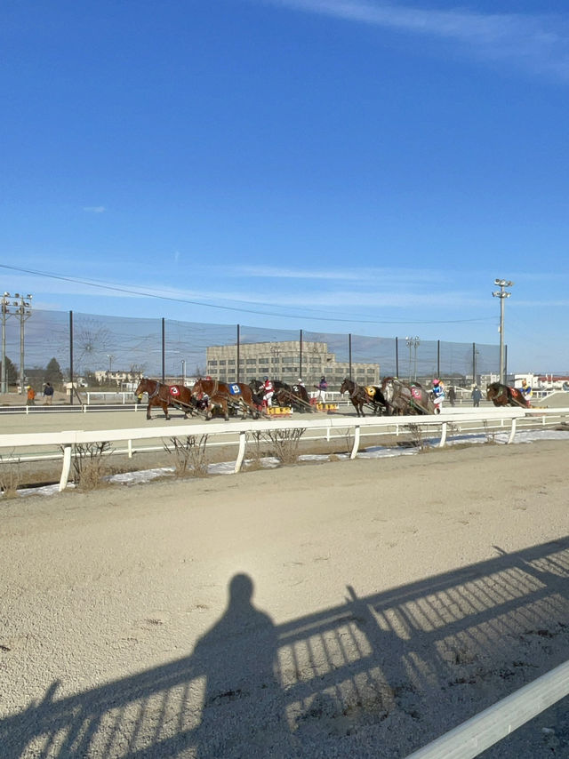 【北海道】豚丼がうまい！ばんえい競馬の街・帯広
