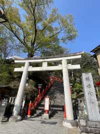 【栃木】歴史と自然の街・足利