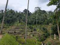 3 Delicious Bali Dining Picks