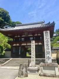 Spring Outing to Okadera Temple