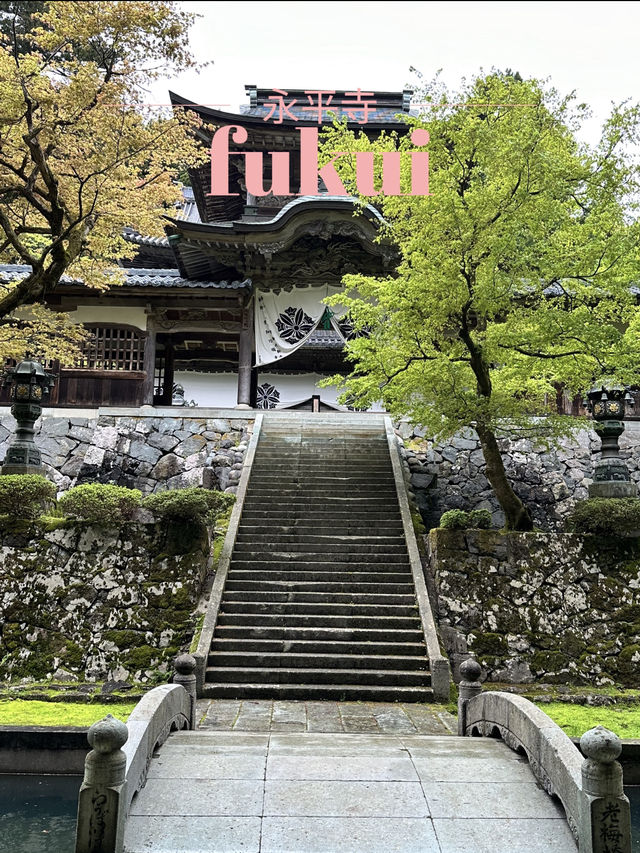 【福井×永平寺】説法が行われる法堂 国の重要文化財