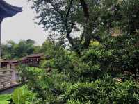 Foshan City Memories