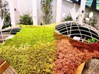 เที่ยวงานดอกไม้ Wondrous Bloom 