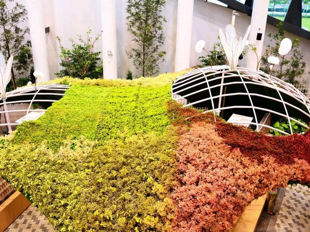 เที่ยวงานดอกไม้ Wondrous Bloom 